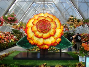 This is a lego version of the 'Begonia of the Year'.